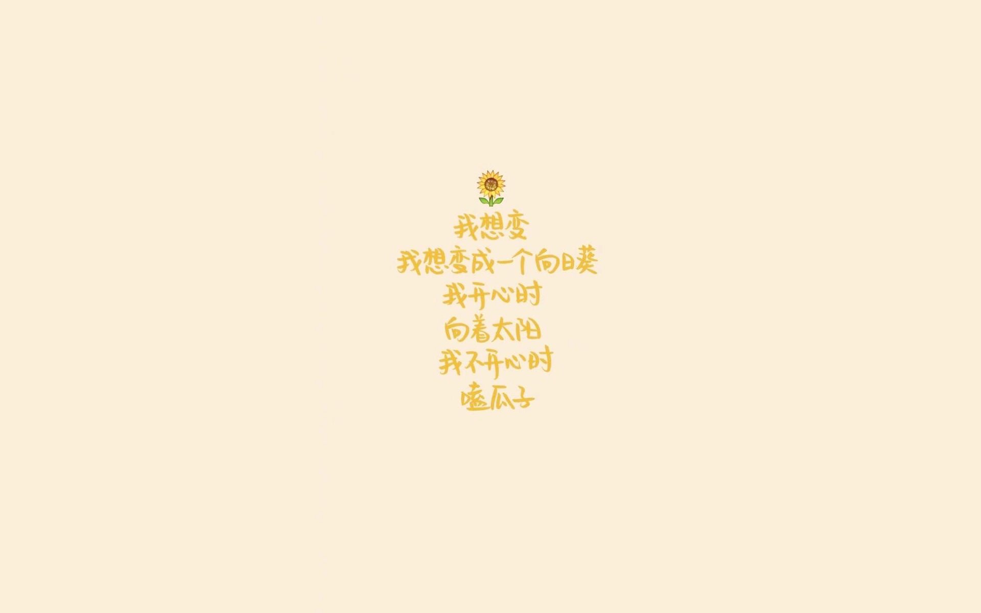 民族传统舞狮比赛，文化运动的欢乐盛典