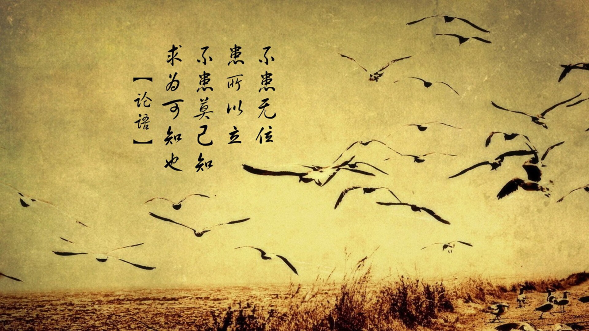 克罗地亚国家队备战意气风发，欧锦赛焦点，克罗地亚欧洲杯预选赛比分