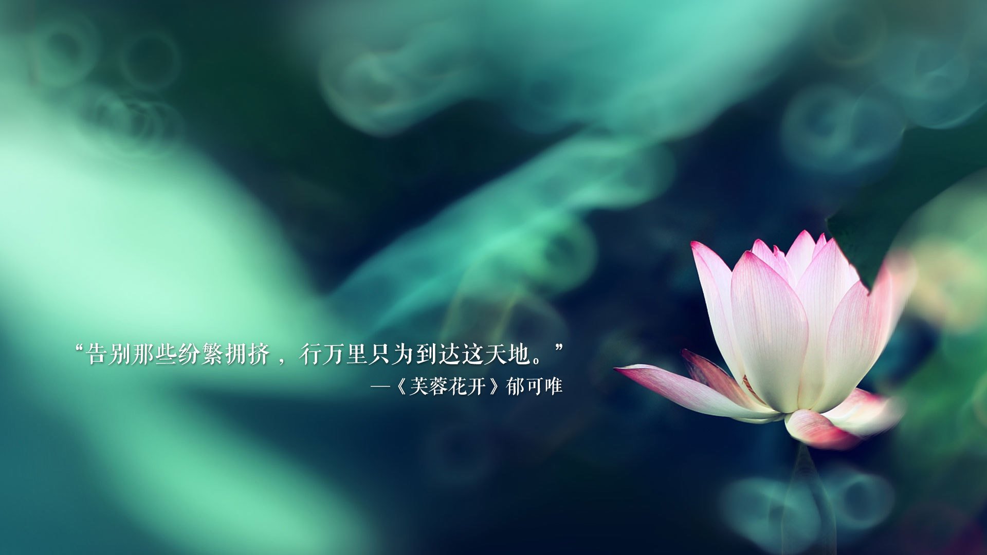 沙特女足实力悍勇，名列前茅，沙特女足实力悍勇,名列前茅