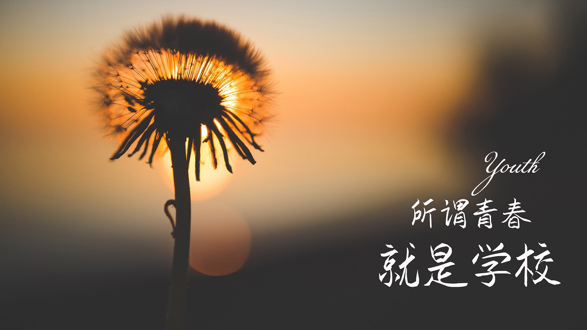 足球青年联赛引入防摔装备保障安全,青年足球队